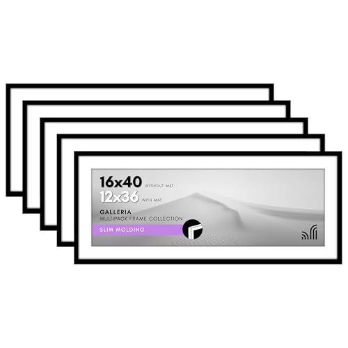 Americanflat 16x40 Picture Frame Set of 5 - Black, Polished Plexiglass, Modern Classic Style - Wall Mount, Horizontal/Vertical Orientation