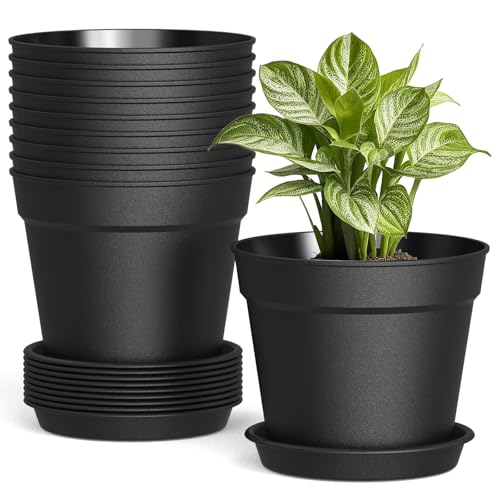 SwinDuck 10 Pack 6 Inch Plant Pots with Drainage and Saucers, White Plastic Flower Pots for Indoor and Outdoor Plants, Stackable Nursery Planters for Houseplants and Herbs, Black