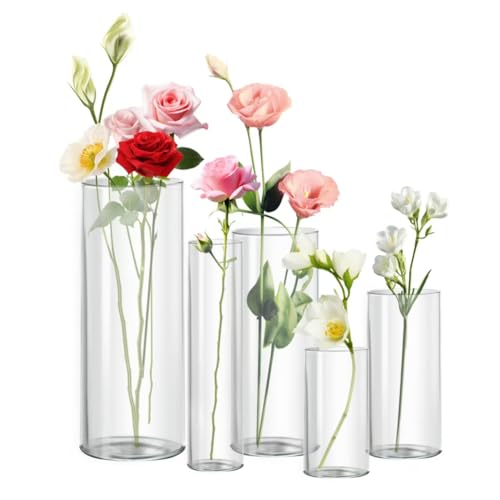 Zomiol Clear Glass Vase for Centerpieces, 4,6,7.5,8,10 inch Tall Set of 5 Cylinder Flower Vase Bulk Floating Candle Holder for Wedding Table Home D??cor and Party