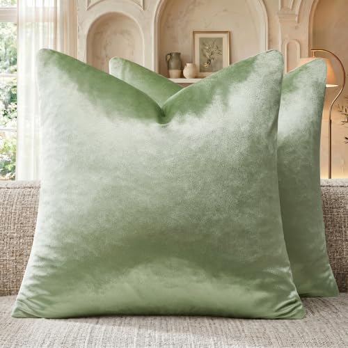 GIGIZAZA Sage Green Velvet Throw Pillow Covers 16x16 Pack of 2 - Decorative Pillows for Couch Sofa,280gsm Soft Textured Fabric,Modern Square Pillowcases,Luxury Cushion Covers