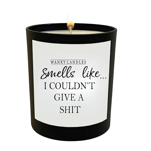 Funny Rude Candle for Women I Couldnt Care Less Quote Cheeky Swear Jar for Friend Colleague Sarcastic Humour Home Fragrance WCBJ70