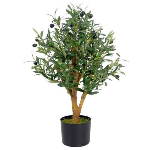 Leaf Design UK Realistic Artificial Olive Tree in Black Plastic Pot 65cm, AZ-OLIVE