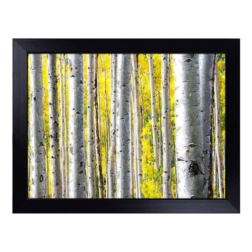 Lap Tray with Bean Bag Cushion, Yellow Birch Tree Forest - Handmade in the UK, Raised Wooden Edge, Padded Cushion, Heat-Resistant Wipe-Clean Surface, for Meals, Laptops and Crafts