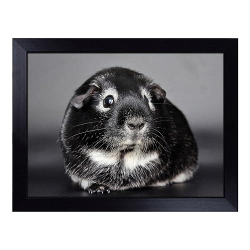 Lap Tray with Bean Bag Cushion, Guinea Pig Art - Handmade in the UK, Raised Wooden Edge, Padded Cushion, Heat-Resistant Wipe-Clean Surface, for Meals, Laptops and Crafts