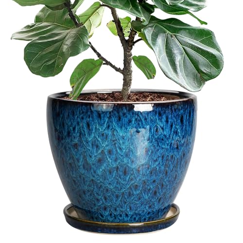 EPFamily 10 Inch Plant Pot???Ceramic Planter with Drainage Hole and Saucer???Round Flower Pot for Home Patio Office, Blue