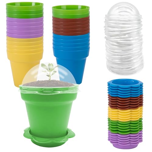 PURPLE STAR 1N 25 Pack Cupcake Plant Nursery Pots with Humidity Dome-Small Flower Pots with Saucers-Planting Containers Cups for Indoor Outdoor Plant Succulent Display (Multicolor)