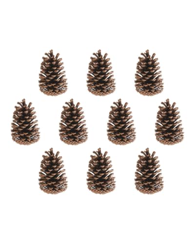 Set of 10 Oversized Pinecones 15 cm, Christmas Tree Hanging Decorations