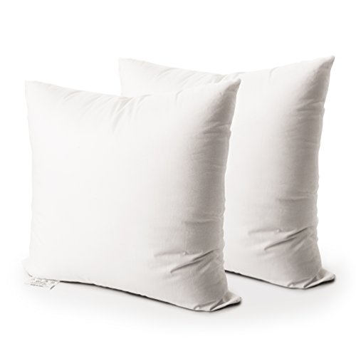 EDOW Throw Pillow Insert, Set Of 2 Hypoallergenic Down Alternative Polyester Square Form Decorative Pillow, Cushion,Sham Stuffer. 20x20 White