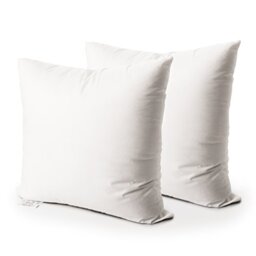 EDOW Throw Pillow Insert, Set Of 2 Hypoallergenic Down Alternative Polyester Square Form Decorative Pillow, Cushion,Sham Stuffer. 20x20 White