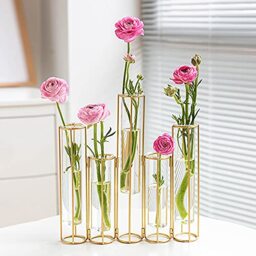 nother Bigsee Test Tube Vase for Flowers, Glass Vase with Metal Stand Racks Hydroponic Test TubeVase Set of 5, Gold Hinged Plant Vases Display Set Table Centerpieces Vase for Home Decor (Gold)