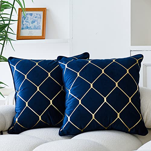 WACOMECO Gold Throw Pillow Covers, Pack of 2 Soft Velvet Decorative Cushion Covers for Couch Sofa Home Decoration, Navy Blue, 20x20 Inch