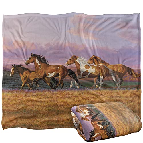 Wild Wings Sunset Cruise 2 Silky Touch Super Soft Throw Blanket 152 X 127 Cm
