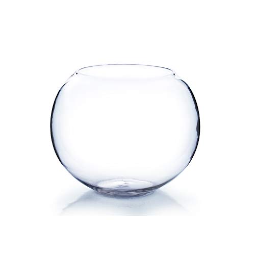 WGVI WGV Clear Round Bubble Bowl Glass Vase