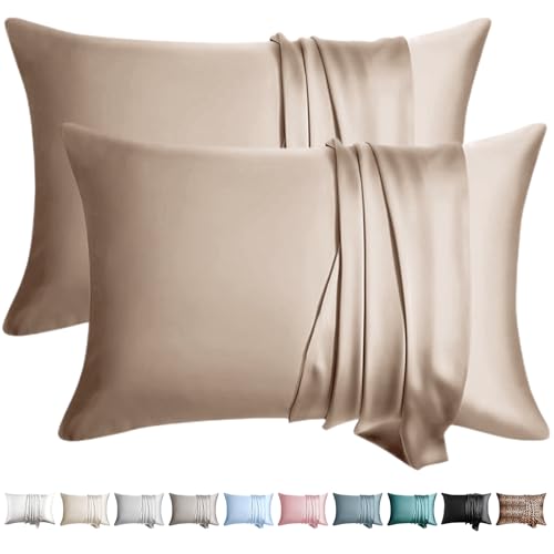 WLOSJ 100% Silk Pillow Cases 2 Pack King Size Mulberry Silk Pillowcase for Hair and Skin Set of 2 Highest Grade 6A Silk Soft Breathable Cooling with Hidden Zipper, Taupe
