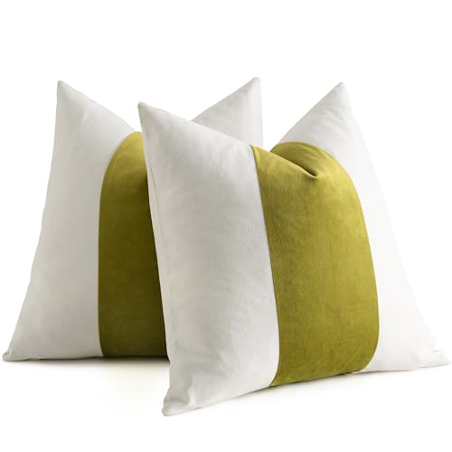 AmHoo Pack of 2 Velvet Panel Cotton Pillow Covers Decorative Pillowcase Cushion for Couch Sofa Bedroom 18 x 18-Inch Spinach Green