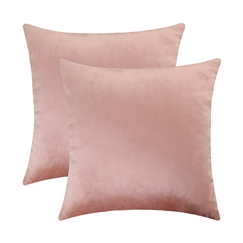 Jeneoo Set of 2 Comfy Soft Velvet Throw Pillow Covers for Sofa Couch Invisible Zipper Decorative Solid Square Cushion Cases for Bedroom Car (16 x 16 Inches, Blush Rose)