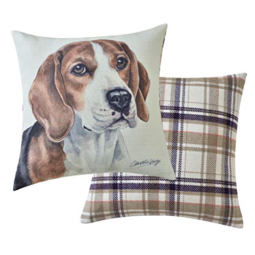 Maturi Beagle Filled Dog Cushion-43 x 43cm / 17 x 17-inch, Multi-Coloured, 43 x 43cm