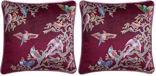 Laurence Llewelyn-Bowen Velvet Cushion – 43x43cm – Pink and Blue Bird Print – Filled Cushion with Piped Edge – Soft Touch Fabric – Birdity Absurdity Collection – Decorative Sofa Pillow (Pack of 2)
