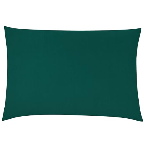 furn. Contra Polyester Filled Cushion – Luxuriously Soft Velvet Pillow With Plain Reverse (Teal – 40x60cm)