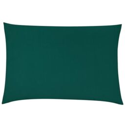 furn. Contra Polyester Filled Cushion – Luxuriously Soft Velvet Pillow With Plain Reverse (Teal – 40x60cm)