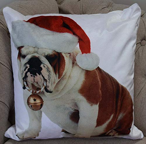 Rapport Home Photographic Bulldog Christmas Santa Hat Cushion Cover Scatter Square