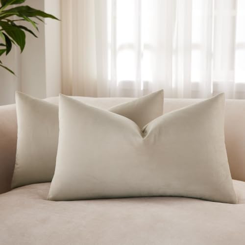 JUSPURBET Cloud Lumbar Velvet Throw Pillow Covers 16x24 inch Set of 2 for Living Room Couch Sofa Bedroom Decorative Rectangle Solid Soft Cushion Cases with Invisible Zipper, HF100021-Double40X60-Cloud