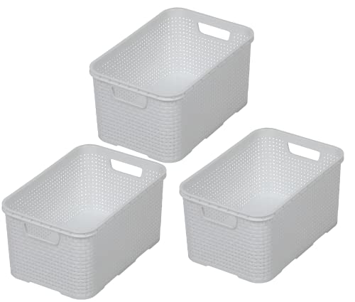 BranQ - Home essential Basket in Rattan Design Set of 3 Size M 10 L BPA-Free Plastic PP White 28.8 x 19.7 x 16.2 cm M