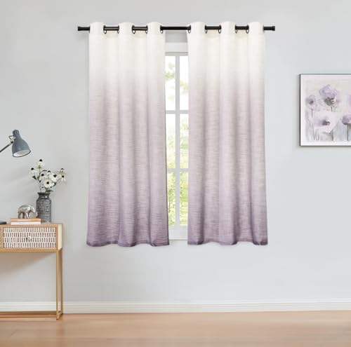 Central Park Ombre Curtain Panel Lavender 40x63x2