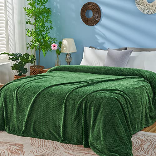 Inhand Fleece Throw Blankets, Super Soft Flannel Cozy Bedding for Adults, Washable Lightweight Fuzzy Blanket for Couch Sofa Bed Office, Queen Size Warm Plush Blankets for All Season (90''??90'', Green)