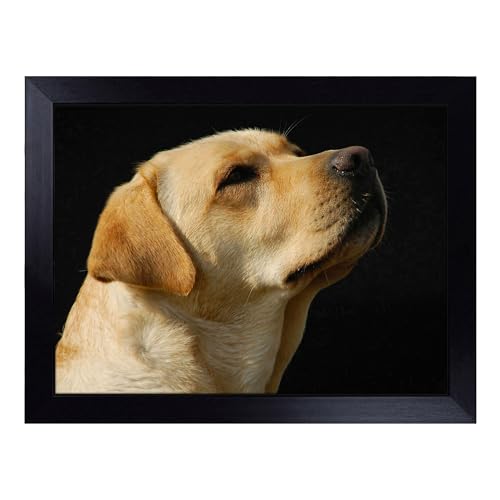 Lap Tray with Bean Bag Cushion, Yellow Labrador Dog - Handmade in the UK, Raised Wooden Edge, Padded Cushion, Heat-Resistant Wipe-Clean Surface, for Meals, Laptops and Crafts