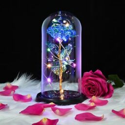 TECHSHARE Galaxy Flower Rose,Beauty and The Beast Rose