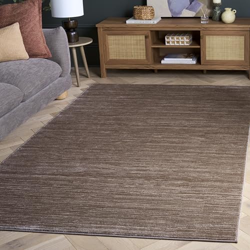 Safavieh Glam Solid Color Indoor Woven Rectangle Area Rug, Vision Collection, VSN606, in Light Brown, 91 X 152 cm for Living Room, Bedroom or Any Indoor Space
