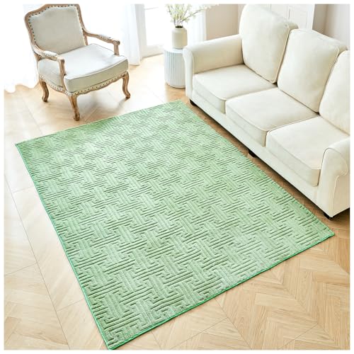 GC GAVENO CAVAILIA Faux Fur Fleece Area Rugs Living Room Large 160x230 Cm - Greek Fluffy Rug For Bedroom, Dining Room, Office Anti Slip Mat - Carpet Floor Mat Runners Washable Outdoor Rug, Sage Green