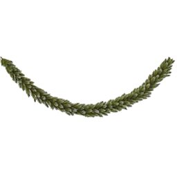 Triumph Tree Pittsburgh Christmas Garland - 30 x 30 x 270 cm - Hard Needle - Green