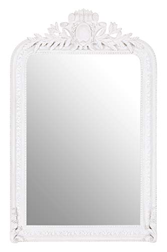 Premier Housewares Stone Grey Frame Wall Mirror Intricate Floral Border For Bedroom/Hallway/Living Room Luxurious w80 x d9.5 x h125cm