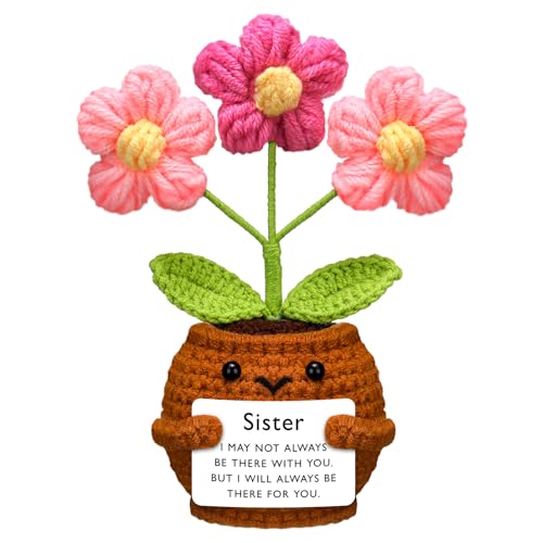 Wavwavw Sister Gifts, Handmade Crochet Doll with Card Crochet Present for Sisters Sis Big Little Sister Wedding Christmas Stocking Stuffers Home Decor(Pink Flowers)