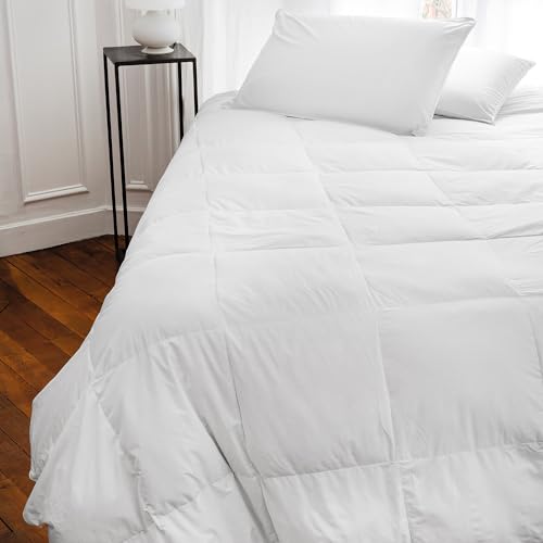 Toison d'or Plumdor Cotton Percale Pillow with Piping Finish, 50cm x 70cm Size