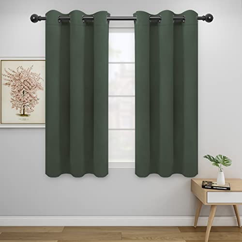 Easy-Going Blackout Curtains for Bedroom, Solid Thermal Insulated Grommet and Noise Reduction Window Drapes, Room Darkening Curtains for Living Room, 2 Panels (42x54 in, Greyish Green)