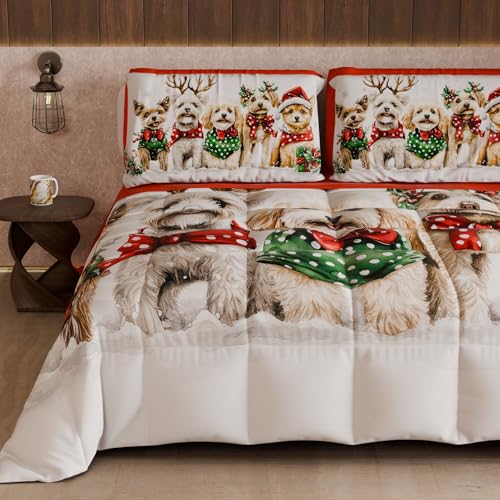 PETTI Artigiani Italiani - Winter Christmas Double Duvet, Double-Sided Quilt, Solid Color and Xmas 9 Digital Print, Made in Italy