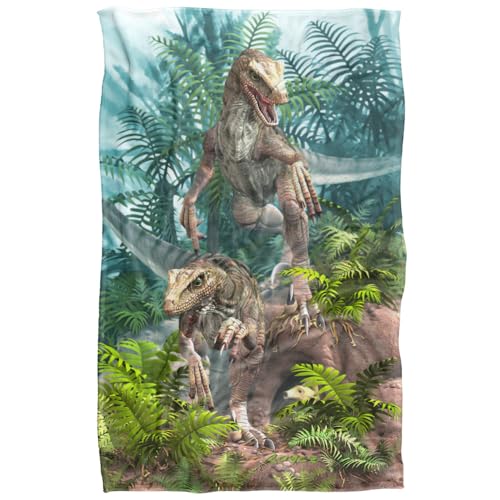 Jq Licensing - Royce Mcclure Bad Boy Raptor Dinosaurs Silky Touch Super Soft Throw Blanket 91 x 147 Cm