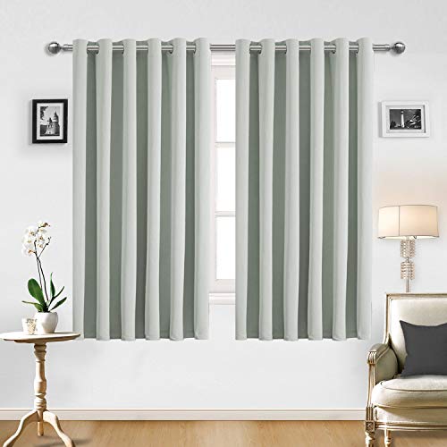 Oxford Homeware Pair of Interwoven Insulated Thermal Blackout Eyelet Curtains with 2 Free Tie Backs (Sliver / 46 X 54 / Ring Top)