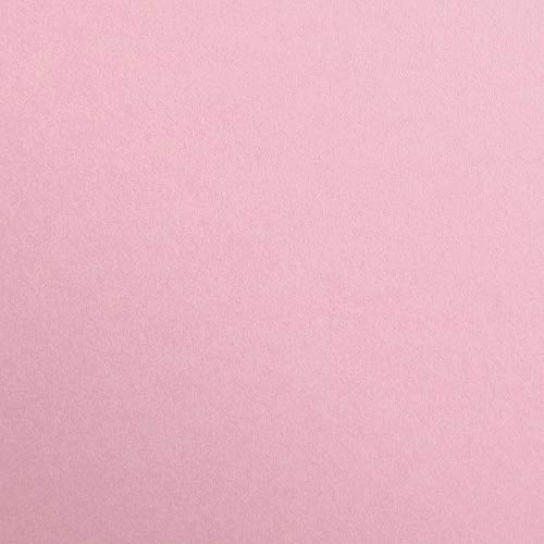 Clairefontaine - Ref 48165C - Single Wirebound Notebook (90 Sheets) - A4 (210 x 297mm), 90gsm Brushed Vellum Paper, Laminated Cardboard Cover - Random Colour Cover