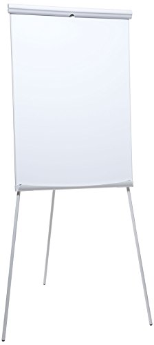OEM 40091-12191 Portable Flip Chart Board