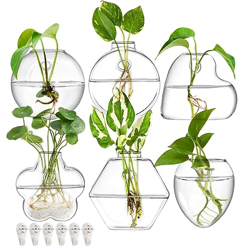 yarlung Set of 6 Wall Hanging Planter Terrarium, Clear Glass Plants Vase Wall Mount for Propagating Hydroponics Plants, Indoor Air Plants, Stylish 6 Shapes (Plants Not Included)