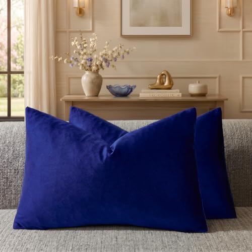 GIGIZAZA Blue Velvet Decorative Throw Pillow Covers for Sofa Bed 2 Pack Soft Cushion Cover (Royal Blue, 12 x 20- Set of 2)
