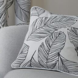 Fusion - Matteo - 100% Cotton Cushion Cover - 43 x 43cm in Black