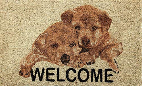 Coco&Coir Door Mat - Non-Slip - Thick Coir - Premium Quality - Rubber Backed - Eco-Friendly - Indoor - Outdoor - Heavy Duty - Pet series - Entrance Door Mat - 45 x 75 cm (Puppy Welcome)