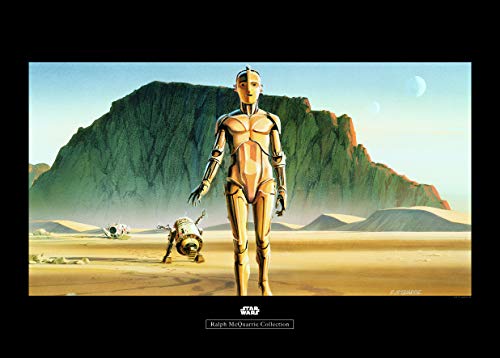 Komar Wall Picture Star Wars Classic RMQ Droids Children's Room Decoration Art Print Without Frame WB135-70 x 50 cm Dimensions 70 x 50 cm (Width x Height)
