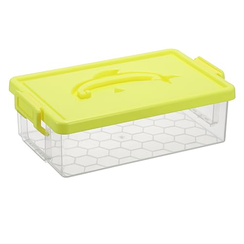 BTSKY Clear Plastic Storage Box with Lid & Dolphin Handle