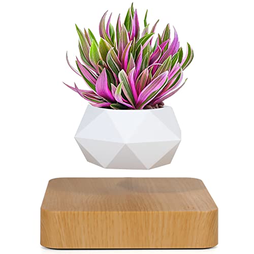 Babook Levitating Air Bonsai Pot, Rotation Flower Pot Planters, Magnetic Levitation Suspension Floating Pot, Potted Plant Home Desk Decor in Flower Pots & Planters from Home & Garden on (Light Color)